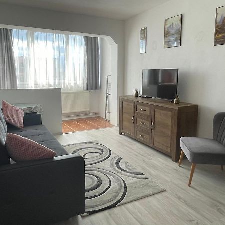 Bulevardul Mihai Viteazul Apartament シビウ エクステリア 写真