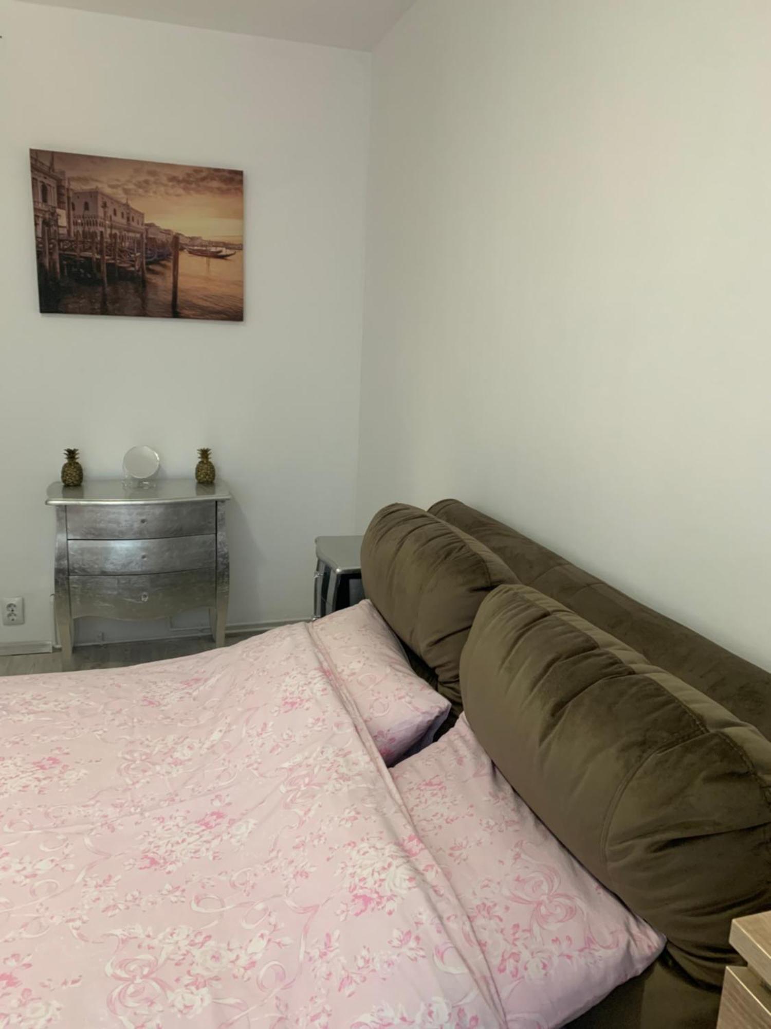 Bulevardul Mihai Viteazul Apartament シビウ エクステリア 写真